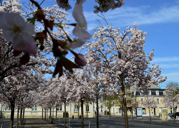 فندق Rabelais تور